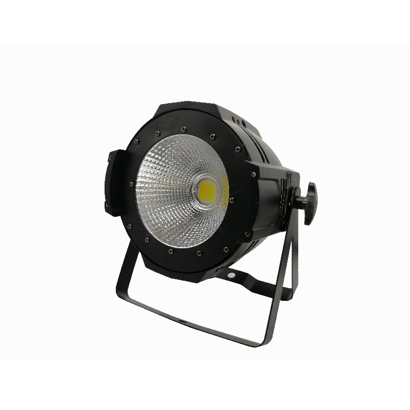 100W COB LED PAR LIGHT